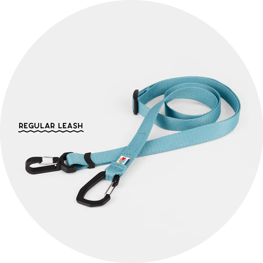Ashbury Hands-Free Leash / Add Ons