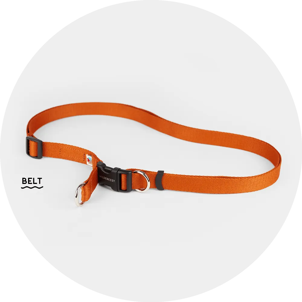 Ashbury Hands-Free Leash / Add Ons