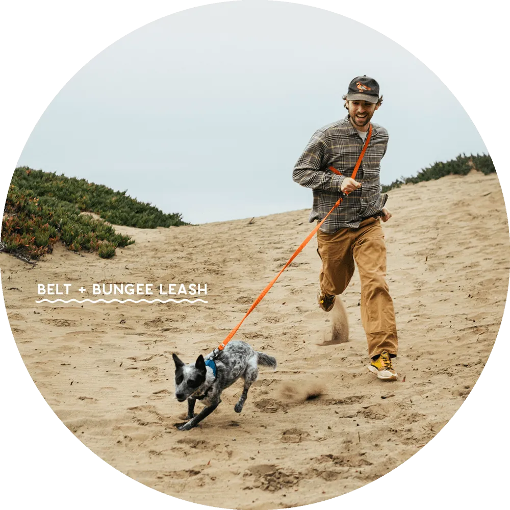 Ashbury Hands-Free Leash / Add Ons