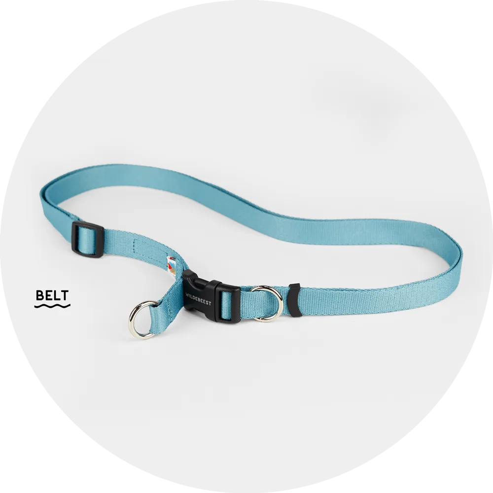 Ashbury Hands-Free Leash / Add Ons