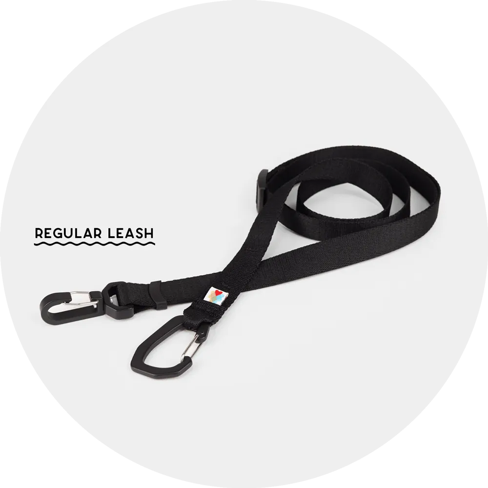 Ashbury Hands-Free Leash / Add Ons