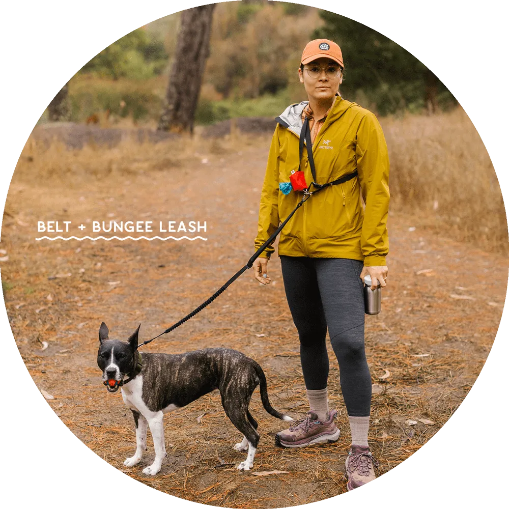 Ashbury Hands-Free Leash / Add Ons