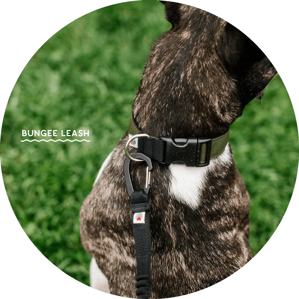 Ashbury Hands-Free Leash / Add Ons