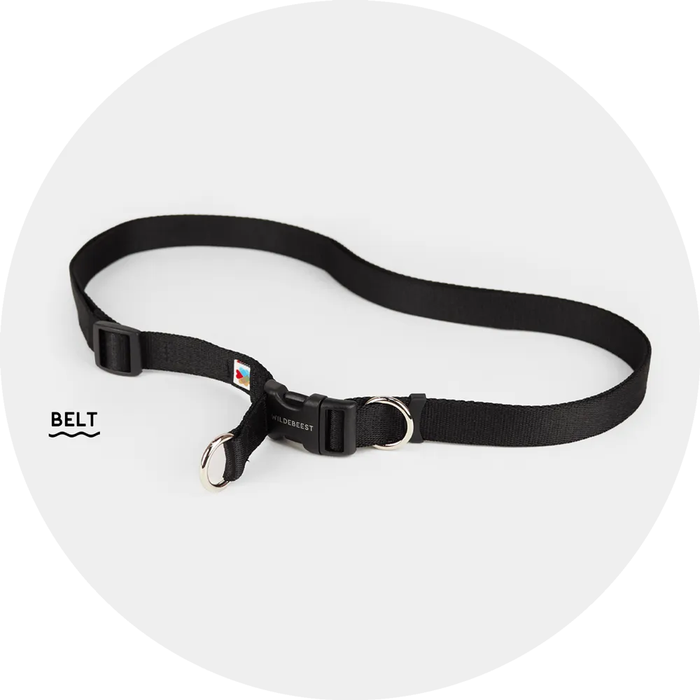 Ashbury Hands-Free Leash / Add Ons