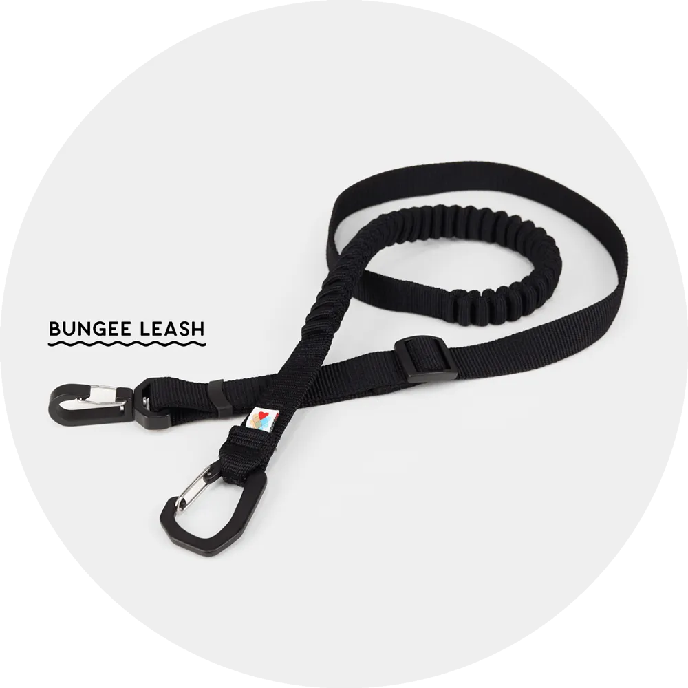 Ashbury Hands-Free Leash / Add Ons