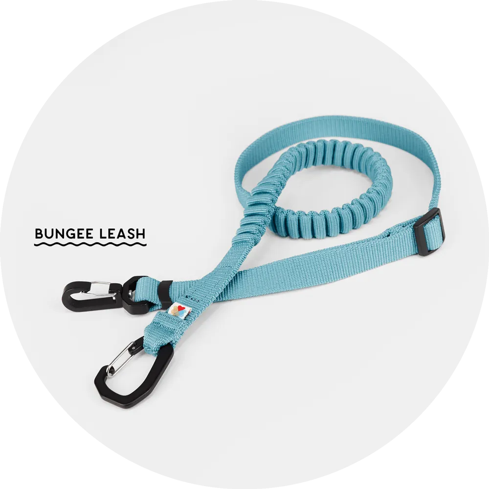Ashbury Hands-Free Leash / Add Ons