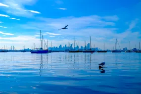 Blue Melbourne - Print