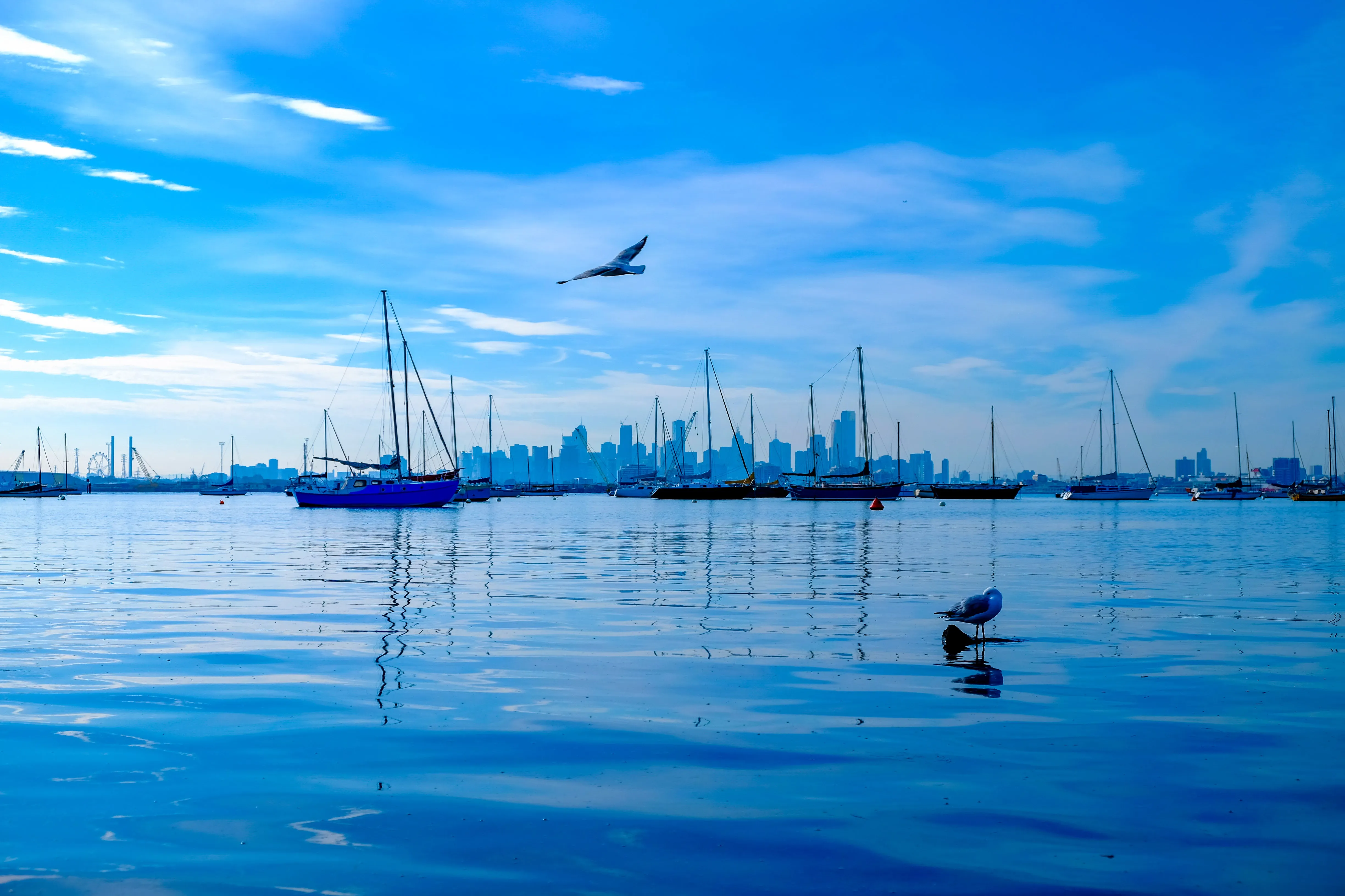 Blue Melbourne - Print